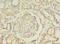 Aminoadipate Aminotransferase antibody, LS-C397715, Lifespan Biosciences, Immunohistochemistry frozen image 