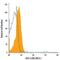 C-X-C Motif Chemokine Ligand 13 antibody, IC801N, R&D Systems, Flow Cytometry image 