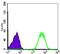 NME/NM23 Nucleoside Diphosphate Kinase 1 antibody, abx011283, Abbexa, Enzyme Linked Immunosorbent Assay image 