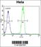 Poly(ADP-Ribose) Polymerase 1 antibody, 62-267, ProSci, Immunofluorescence image 