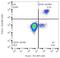 CD180 Molecule antibody, NBP2-62228, Novus Biologicals, Flow Cytometry image 