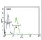 Sodium- and chloride-dependent betaine transporter antibody, LS-C162845, Lifespan Biosciences, Flow Cytometry image 