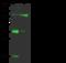 CD58 Molecule antibody, 12409-R085, Sino Biological, Western Blot image 