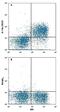 Interleukin 7 Receptor antibody, FAB47742P, R&D Systems, Flow Cytometry image 