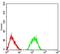 Glutamate Metabotropic Receptor 7 antibody, NBP2-61856, Novus Biologicals, Enzyme Linked Immunosorbent Assay image 