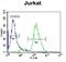 JAZF Zinc Finger 1 antibody, abx026391, Abbexa, Flow Cytometry image 