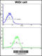 Clusterin-associated protein 1 antibody, 62-369, ProSci, Flow Cytometry image 