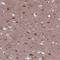 ER Membrane Protein Complex Subunit 2 antibody, HPA022838, Atlas Antibodies, Immunohistochemistry frozen image 