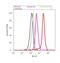 Synaptosome Associated Protein 23 antibody, PA1-738, Invitrogen Antibodies, Flow Cytometry image 