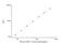 Caspase 4 antibody, NBP2-75019, Novus Biologicals, Enzyme Linked Immunosorbent Assay image 