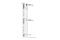 Pleckstrin Homology And RUN Domain Containing M1 antibody, 66012S, Cell Signaling Technology, Western Blot image 