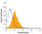 Thrombomodulin antibody, AF3947, R&D Systems, Western Blot image 