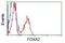 Forkhead Box A2 antibody, NBP2-02088, Novus Biologicals, Flow Cytometry image 