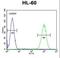 WD Repeat Domain 93 antibody, LS-C160611, Lifespan Biosciences, Flow Cytometry image 