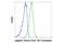 Jagged Canonical Notch Ligand 1 antibody, 54340S, Cell Signaling Technology, Flow Cytometry image 