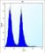 Cyclin Dependent Kinase Inhibitor 2A antibody, abx027077, Abbexa, Western Blot image 