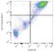 CD209 Molecule antibody, LS-C204447, Lifespan Biosciences, Flow Cytometry image 