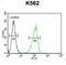 Corticotropin Releasing Hormone Receptor 1 antibody, abx026263, Abbexa, Flow Cytometry image 