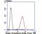 66 kDa neurofilament protein antibody, NBP2-75407, Novus Biologicals, Flow Cytometry image 