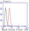 Ras Homolog Family Member A antibody, GTX01096, GeneTex, Flow Cytometry image 