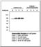 Cortactin antibody, LS-B7158, Lifespan Biosciences, Western Blot image 