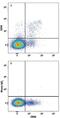 Killer Cell Lectin Like Receptor D1 antibody, FAB1058A, R&D Systems, Flow Cytometry image 