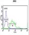 Prospero Homeobox 1 antibody, LS-C162172, Lifespan Biosciences, Flow Cytometry image 