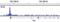 Lysine Acetyltransferase 7 antibody, 58418S, Cell Signaling Technology, Chromatin Immunoprecipitation image 