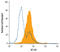 CD276 Molecule antibody, AF1027, R&D Systems, Flow Cytometry image 