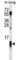 Cytochrome C Oxidase Subunit 7A1 antibody, abx028522, Abbexa, Western Blot image 