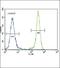 Cadherin 1 antibody, PA5-11549, Invitrogen Antibodies, Flow Cytometry image 