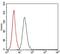 Fos Proto-Oncogene, AP-1 Transcription Factor Subunit antibody, MA5-17076, Invitrogen Antibodies, Flow Cytometry image 