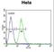 Ribosomal Protein L31 antibody, LS-C162710, Lifespan Biosciences, Flow Cytometry image 