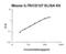 Interleukin 7 Receptor antibody, EK0714, Boster Biological Technology, Enzyme Linked Immunosorbent Assay image 