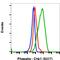 Checkpoint Kinase 1 antibody, MA5-27985, Invitrogen Antibodies, Flow Cytometry image 