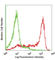 Lymphocyte antigen 6G antibody, 127602, BioLegend, Flow Cytometry image 