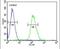 Tankyrase 2 antibody, PA5-25233, Invitrogen Antibodies, Flow Cytometry image 