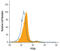Phosphatase And Tensin Homolog antibody, AF847, R&D Systems, Flow Cytometry image 