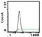 Signal Regulatory Protein Alpha antibody, MA1-22858, Invitrogen Antibodies, Flow Cytometry image 