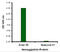 Hemagglutinin antibody, PM-4006, ProSci Inc, Enzyme Linked Immunosorbent Assay image 