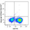 Interferon Gamma antibody, 502531, BioLegend, Immunocytochemistry image 