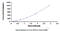 Nuclear Factor Of Activated T Cells 2 antibody, MBS2020352, MyBioSource, Enzyme Linked Immunosorbent Assay image 