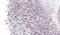 Serine/Threonine/Tyrosine Kinase 1 antibody, PA5-21695, Invitrogen Antibodies, Immunohistochemistry paraffin image 