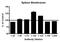 Cannabinoid Receptor 2 antibody, A01307, Boster Biological Technology, Enzyme Linked Immunosorbent Assay image 