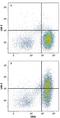 Lymphocyte Activating 3 antibody, AF2319, R&D Systems, Flow Cytometry image 