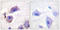 Protein Tyrosine Kinase 2 antibody, LS-C198951, Lifespan Biosciences, Immunohistochemistry frozen image 