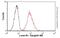 Lamin B1 antibody, ab8982, Abcam, Flow Cytometry image 