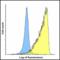 Transmembrane And Immunoglobulin Domain Containing 2 antibody, LS-B16380, Lifespan Biosciences, Flow Cytometry image 