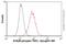 MYB Proto-Oncogene Like 2 antibody, ab76009, Abcam, Flow Cytometry image 