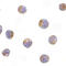 Toll Like Receptor Adaptor Molecule 2 antibody, 3206, ProSci, Immunocytochemistry image 